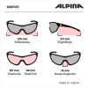 Sluneční brýle - Alpina Sports BONFIRE - 6