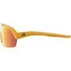 Sluneční brýle - Alpina Sports TURBO HR - 3