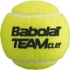Tenisové míče - Babolat TEAM CLAY X4 - 2