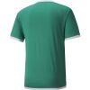 Pánské fotbalové triko - Puma TEAM LIGA JERSEY TEE - 2