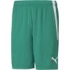 Pánské šortky - Puma TEAM LIGA SHORTS - 1