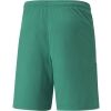 Pánské šortky - Puma TEAM LIGA SHORTS - 2