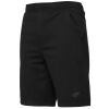 Pánské kraťasy - 4F SHORTS BASIC - 2