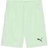 Pánské fotbalové šortky - Puma TEAMGOAL SHORTS - 1