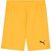 Pánské fotbalové šortky - Puma TEAMGOAL SHORTS - 1