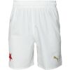 Pánské fotbalové šortky - Puma SKS SHORTS PROMO - 1