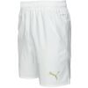 Pánské fotbalové šortky - Puma SKS SHORTS PROMO - 2