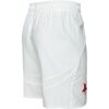 Pánské fotbalové šortky - Puma SKS SHORTS PROMO - 3