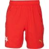 Pánské fotbalové šortky - Puma SKS SHORTS PROMO - 1