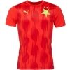 Pánský fotbalový dres - Puma SKS PREMATCH SS JERSEY - 1