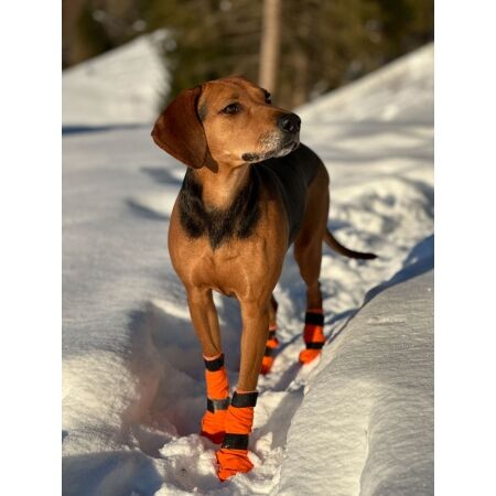 Botičky - NON-STOP DOGWEAR CONTACT BOOTIE HIGH 4 ks - 4