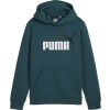 Chlapecká mikina - Puma ESSENTIALS + BIG LOGO HOODIE - 1