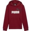 Chlapecká mikina - Puma ESSENTIALS + BIG LOGO HOODIE - 1