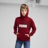 Chlapecká mikina - Puma ESSENTIALS + BIG LOGO HOODIE - 3